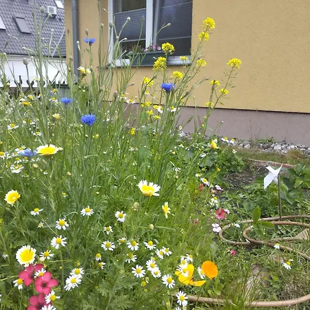 Tu Hus Bei Fabers *